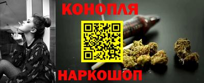 apvp Нальчик