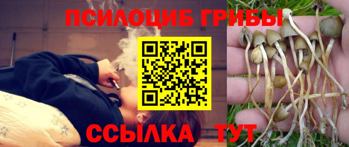 купить  цена  Вход с VPN  Гурьевск  Галлюциногенные грибы GOLDEN TEACHER 